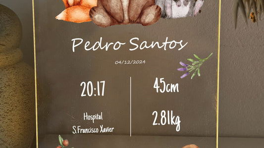 Presentes de Nascimento: O Que Oferecer a Quem Vai Ter um Bebé — capa do guia iFrame.pt