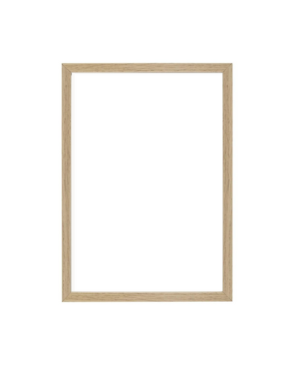 Frame with Light (include)