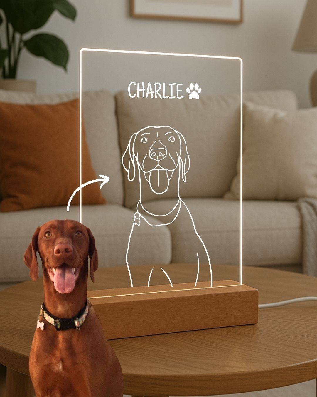 Lámpara Retrato Line Art Personalizable (1 Animal)