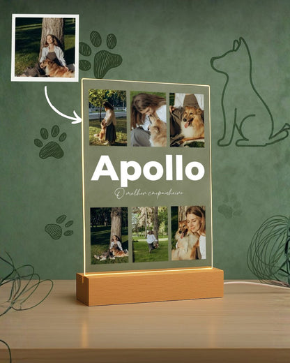 Lámpara Nombre & 6 Fotografías Vertical - Animal