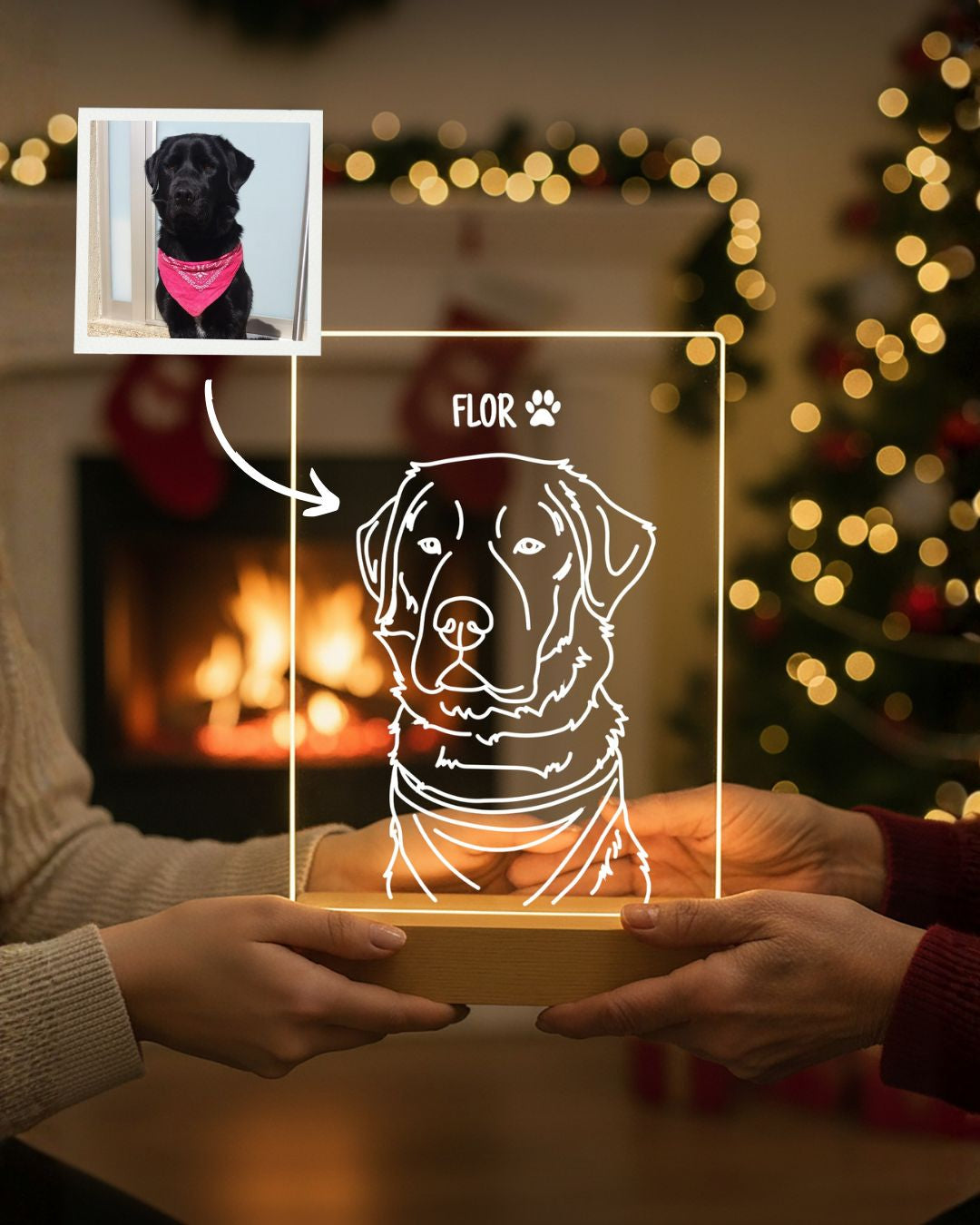 Lámpara Retrato Line Art Personalizable (1 Animal)