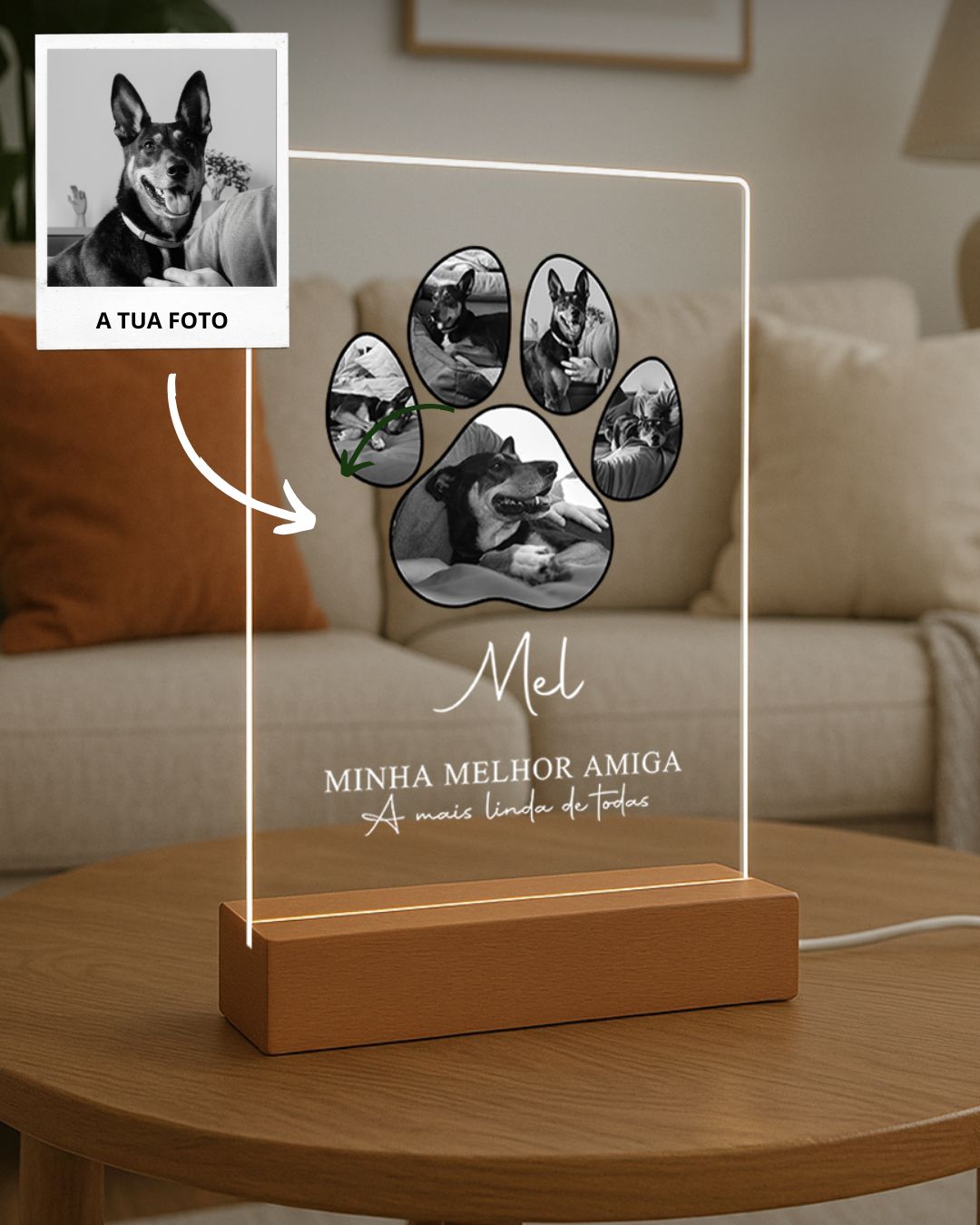 Lámpara Pata de Animal c/ 5 Fotografías