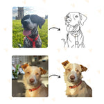 Digital Portrait (Pets)