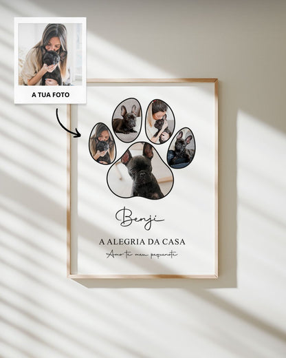 Cuadro Pata de Animal con 5 Fotografías