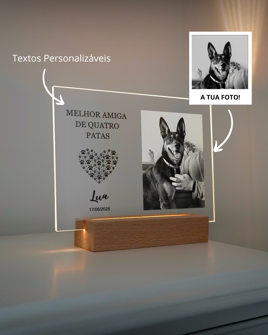 Lámpara Memorial de Animal Personalizada