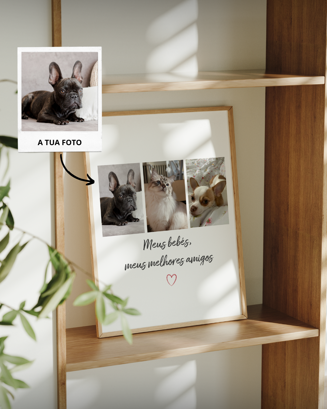 capa:animais | Quadro c/ 3 Fotografias & Dedicatória Personalizado — presente para Donos de Animais