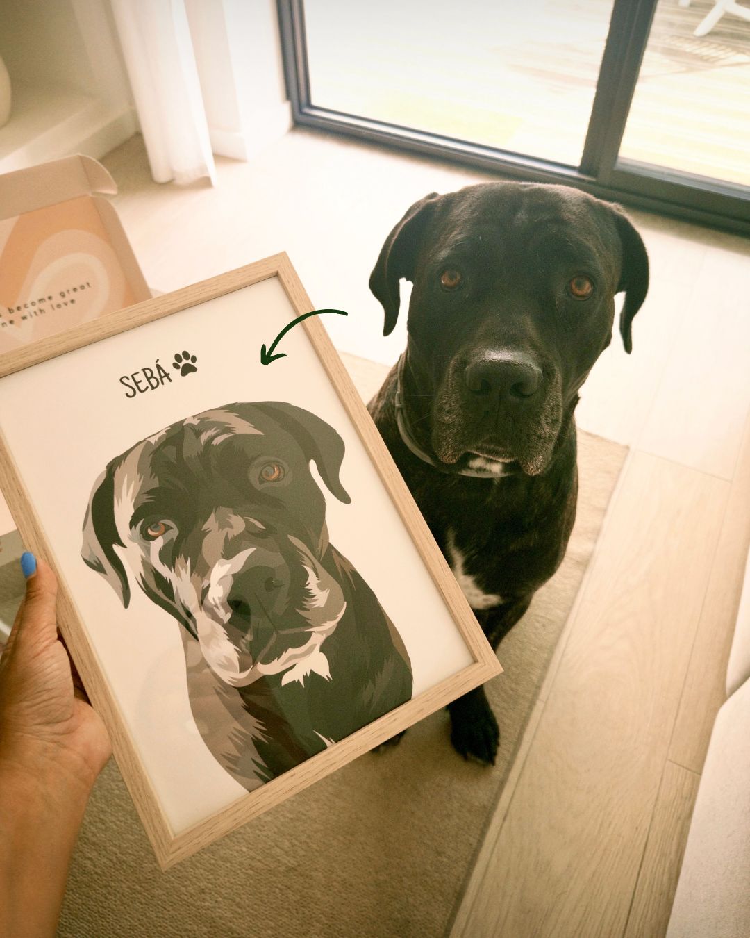 Quadro Retrato Colorido (1 Animal)