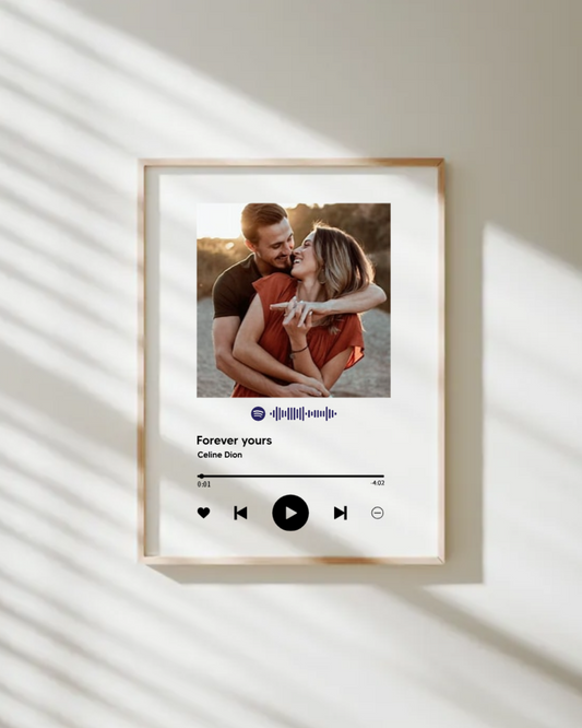 Quadro Spotify Player